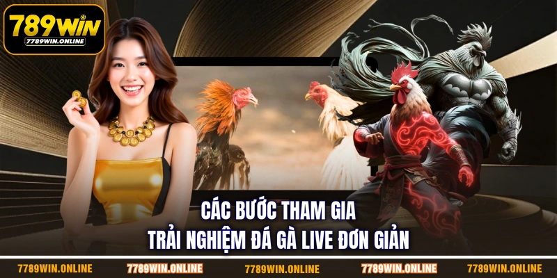 Các bước tham gia trải nghiệm đá gà live đơn giản 